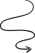 IntelliSecure shape-1