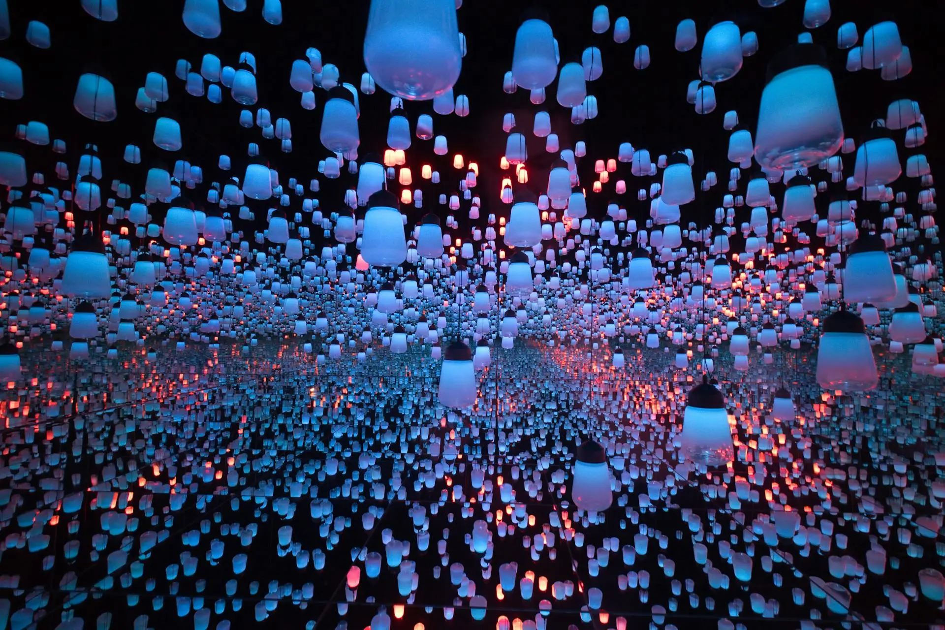 Portfolio Image